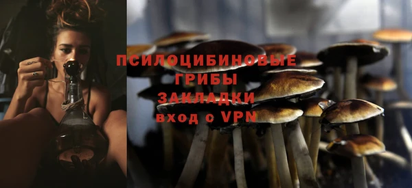 первитин Медногорск