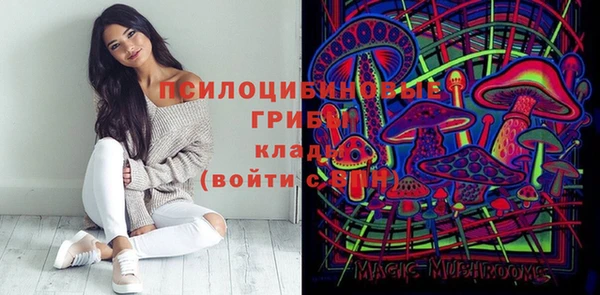 бутират Михайлов